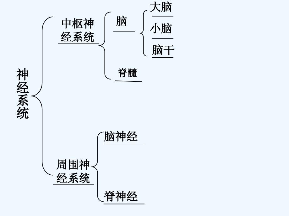 北师大版生物七下《神经系统与神经调节》ppt课件_第2页