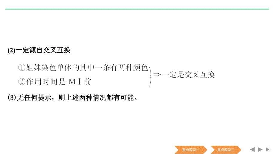 新高考生物（人教全国2、3）复习课件：必修一第四单元 细胞的生命历程 补上一课3_第5页