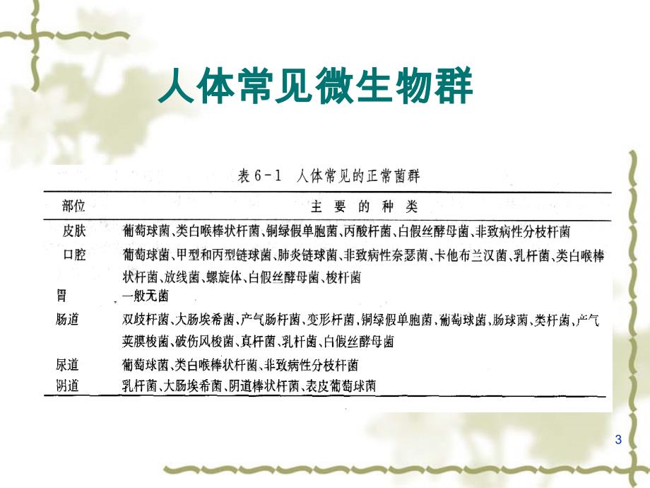 细菌与人体PPT课件.ppt_第3页