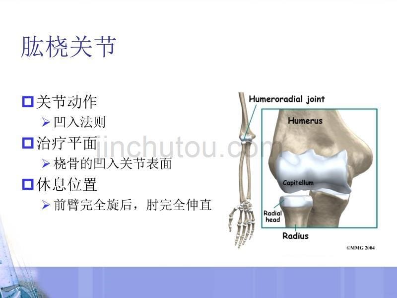 关节松动术：上肢技术(肩肘前臂)PPT课件.ppt_第5页