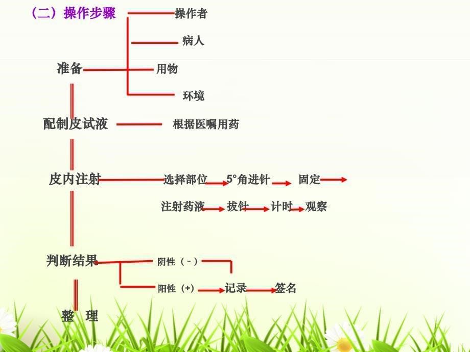 培训--皮内注射PPT课件.ppt_第5页