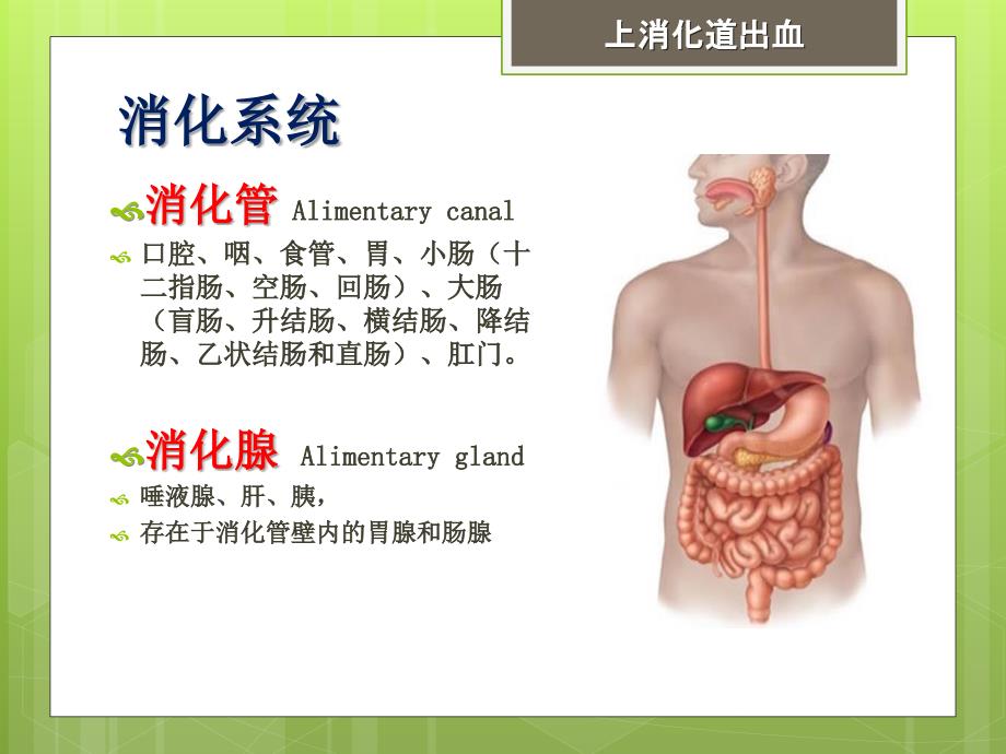 上消化道出血90224PPT课件.ppt_第4页