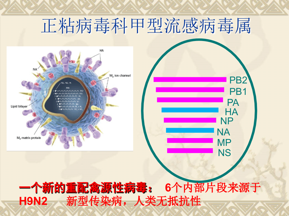 2013年四月人感染H7N9禽流感治疗_第4页