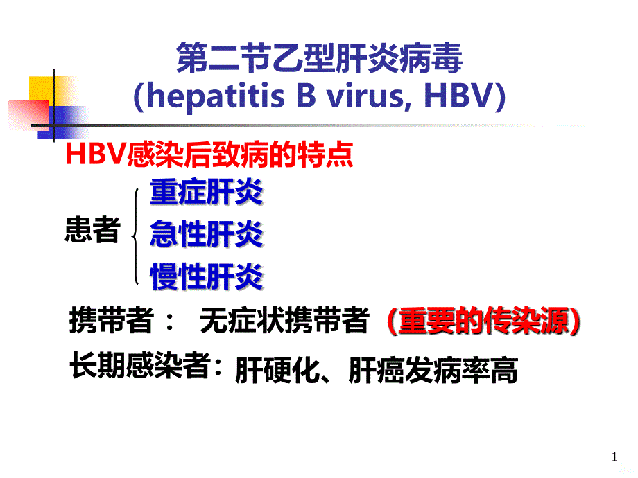 乙型肝炎病毒PPT课件.ppt_第1页