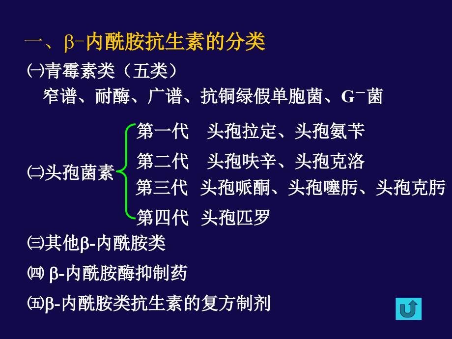 内酰胺类抗生素完整.ppt_第2页