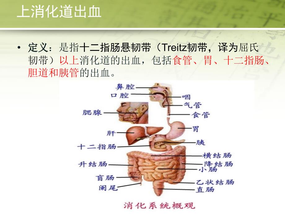 急性上消化道出血的药物治疗完整版本.ppt_第2页