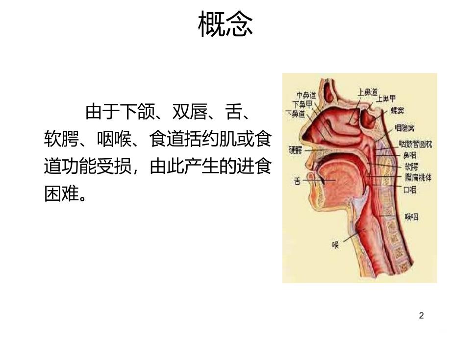 吞咽困难详解PPT课件.ppt_第2页