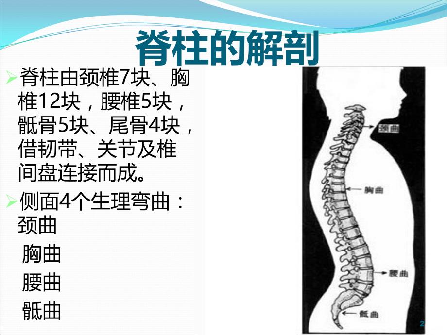 脊柱微创手术的护理PPT课件.ppt_第2页