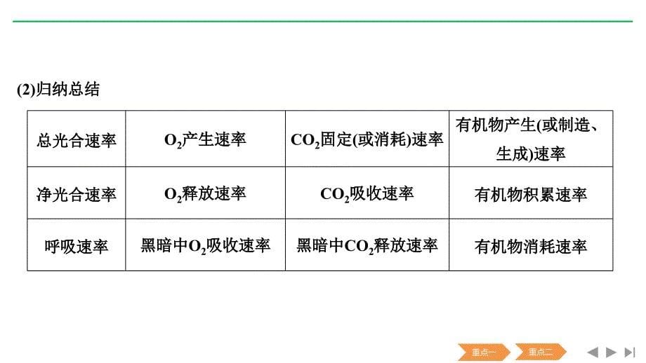 新高考生物（人教全国Ⅰ）复习课件：必修一第三单元 细胞的能量供应与利用 补上一课2_第5页