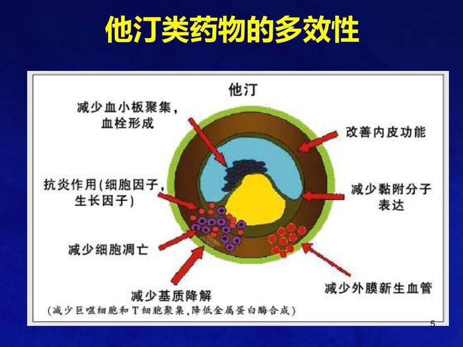 他汀类药物多效性详解PPT课件.ppt_第5页