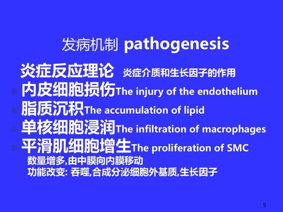 病理学_心PPT课件.ppt_第5页