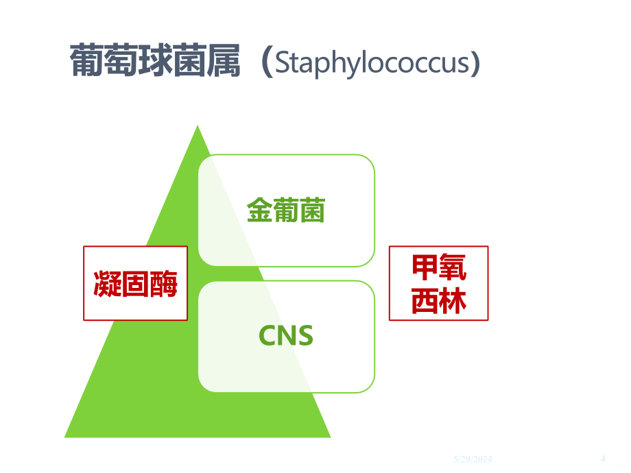 吴笑春-革兰阳性球菌及其治疗药物PPT课件.ppt_第4页