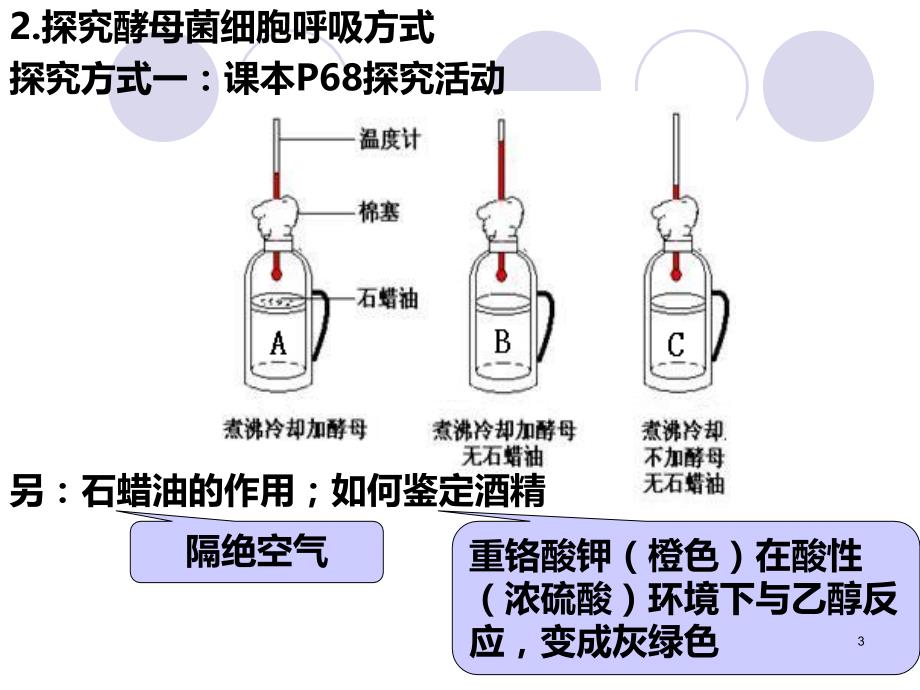 生物必修一呼吸作用PPT课件.ppt_第3页