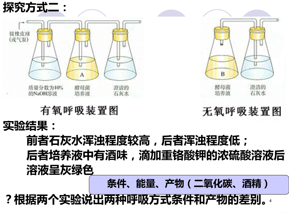 生物必修一呼吸作用PPT课件.ppt_第4页