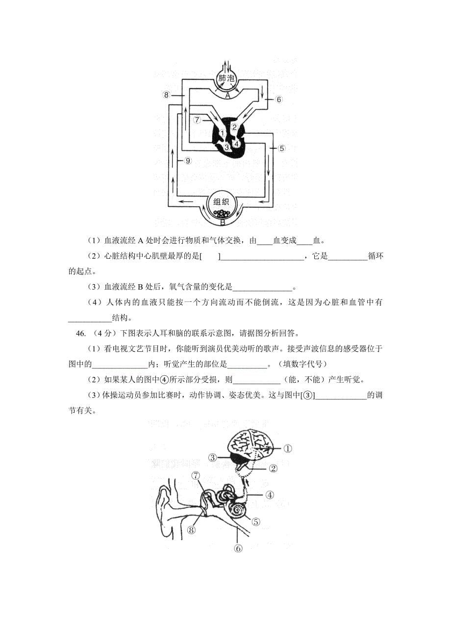 北京市西城区（北区）2012-2013学年下学期初中七年级期末考试生物试卷.doc_第5页