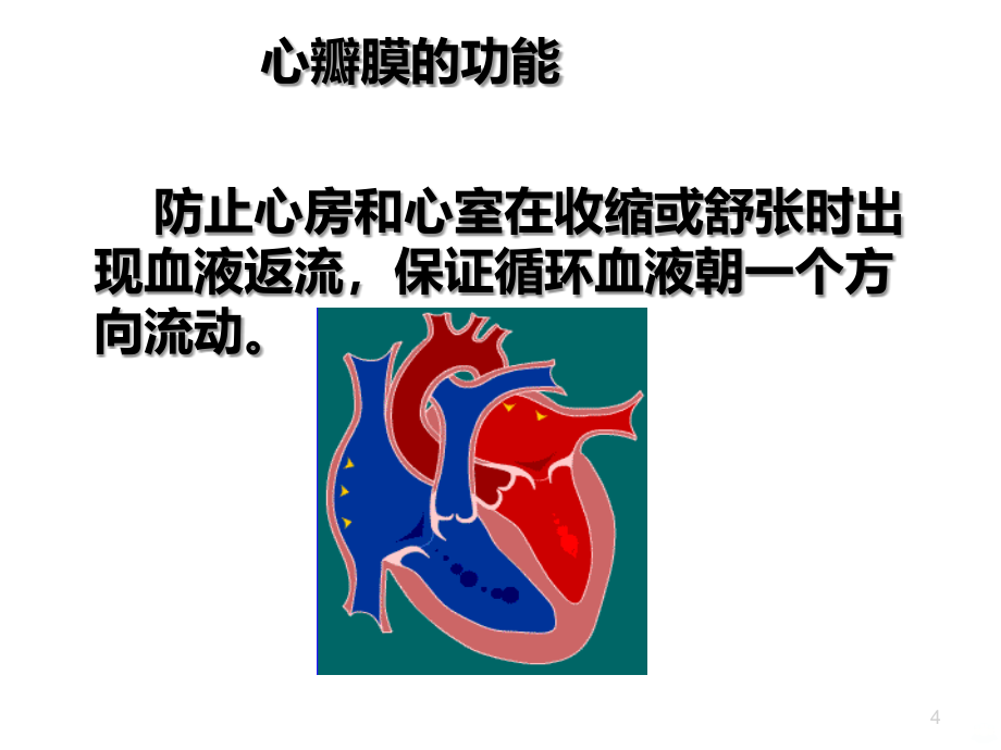 风湿性心脏病患者的护理PPT课件.ppt_第4页