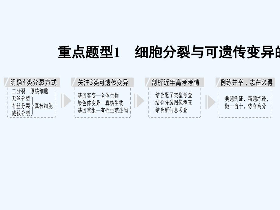 新高考生物（北师大）复习课件：第四单元 细胞的生命历程 补上一课3_第2页