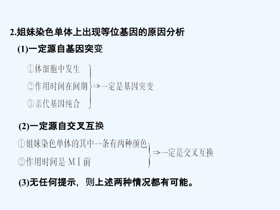 新高考生物（北师大）复习课件：第四单元 细胞的生命历程 补上一课3_第4页