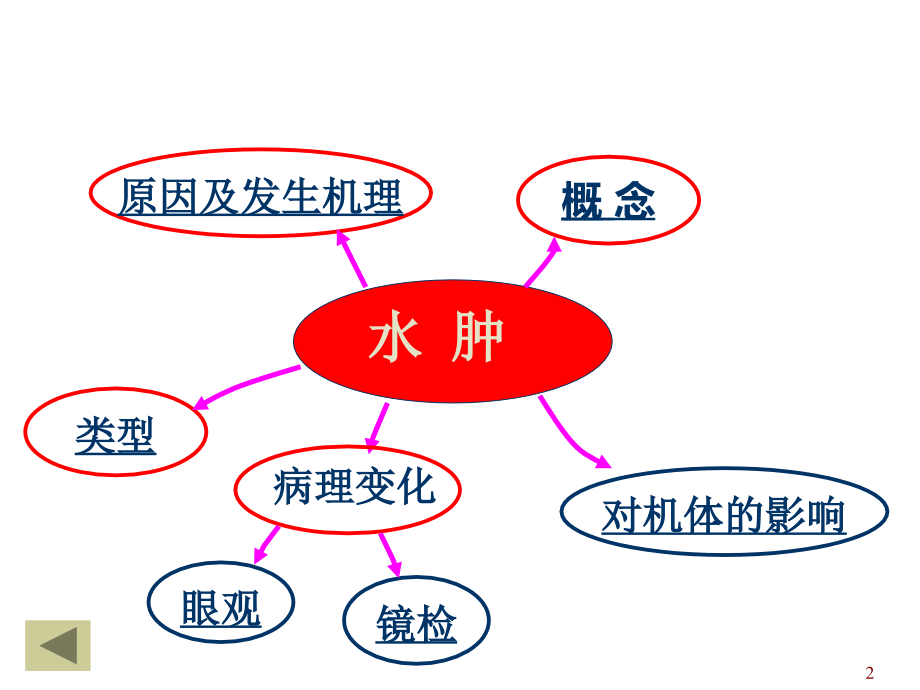 水肿和脱水PPT课件.ppt_第2页