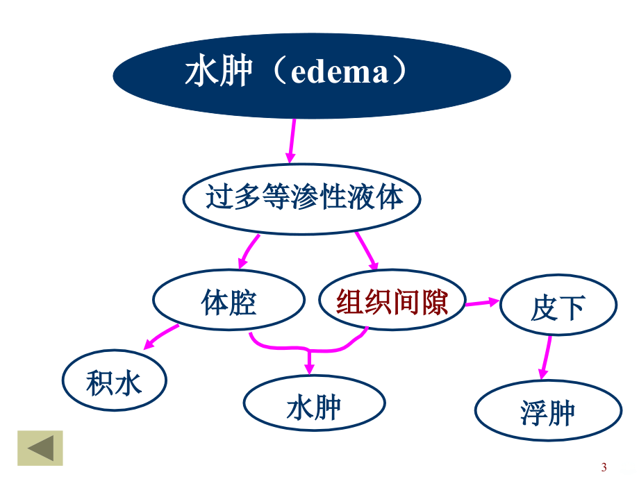 水肿和脱水PPT课件.ppt_第3页