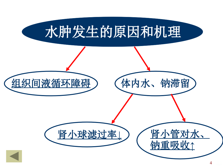 水肿和脱水PPT课件.ppt_第4页