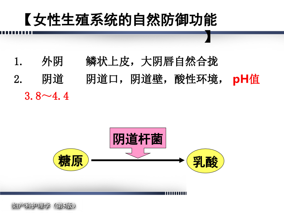 妇产科护理学第13章--女性生殖系统炎症病人的护理_第3页