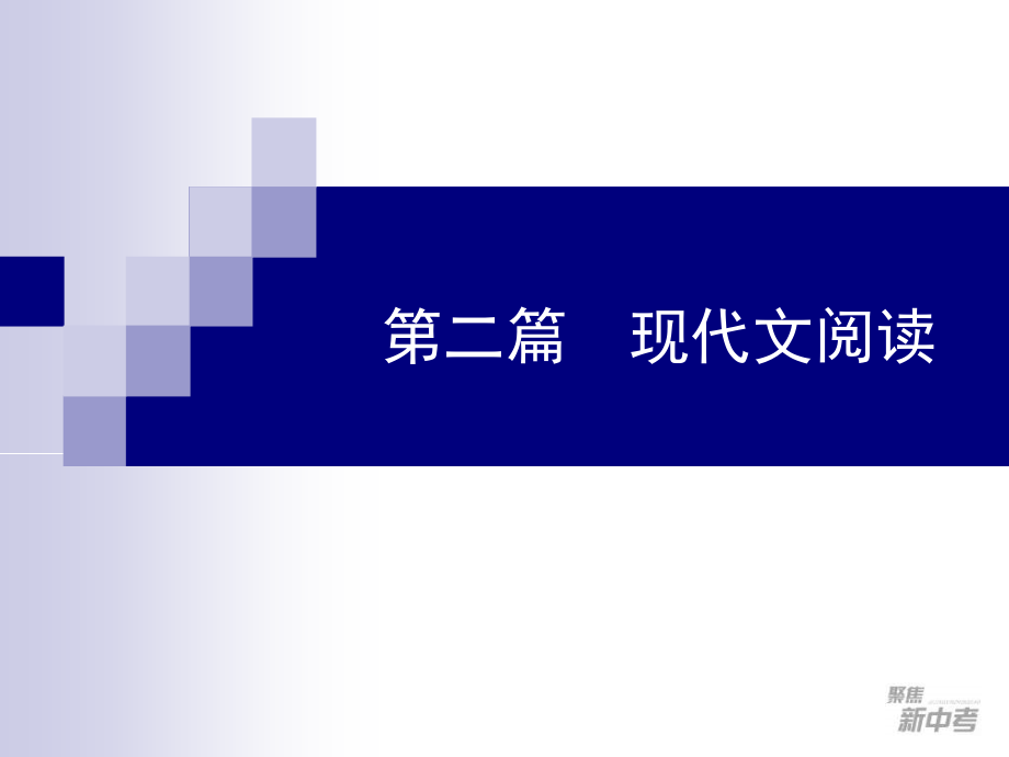 2015届九年级中考专题复习：《小说阅读》ppt课件_第1页