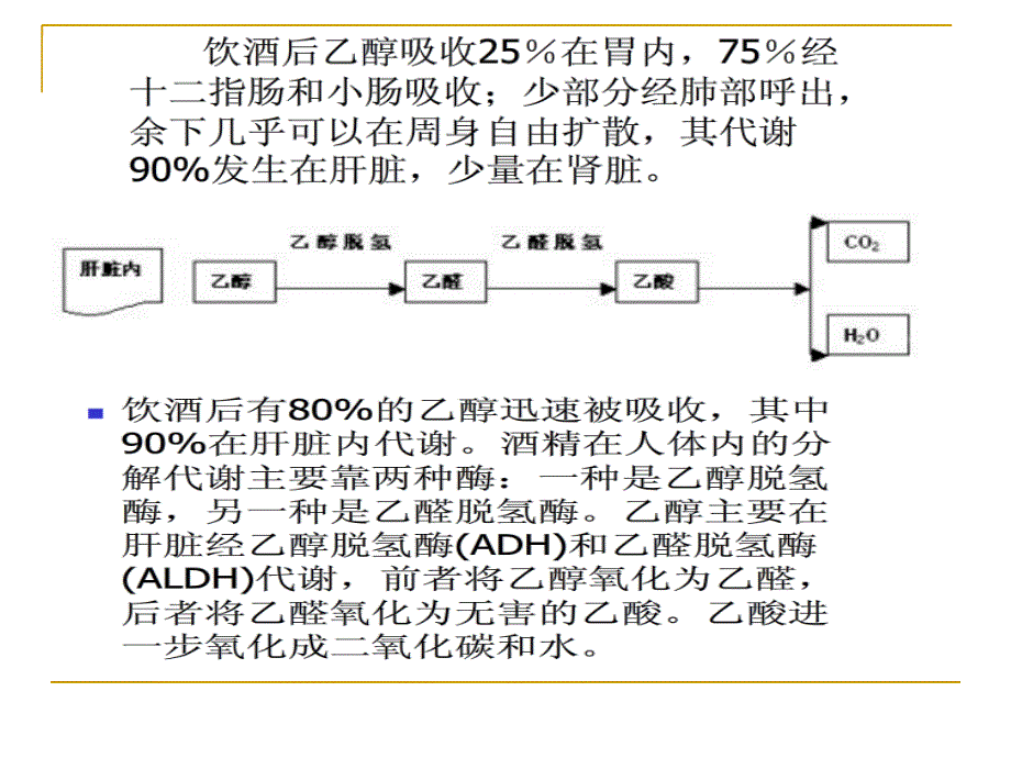 急性乙醇中毒(完整版本).ppt_第4页