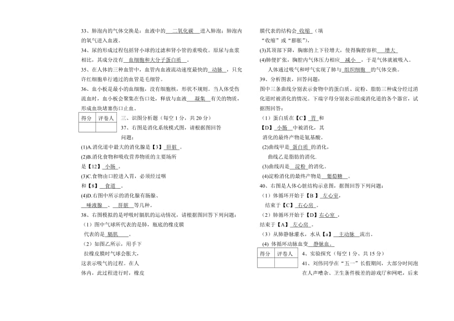 初一生物期中试卷答案.doc_第3页