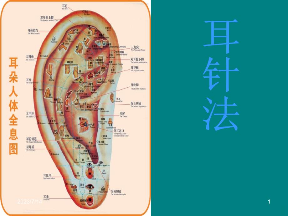 中医耳穴PPT课件.ppt_第1页