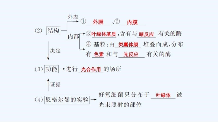 新高考生物（江苏专用）复习课件：第三单元 细胞的能量供应与利用 第9讲_第5页