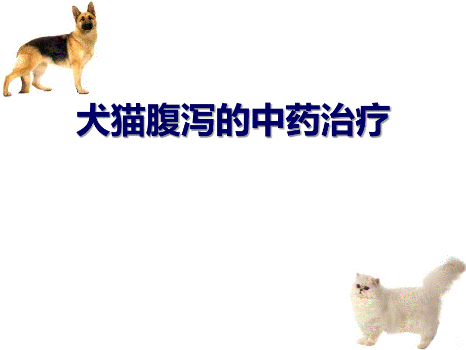 犬猫腹泻的中药治疗PPT课件.ppt_第1页