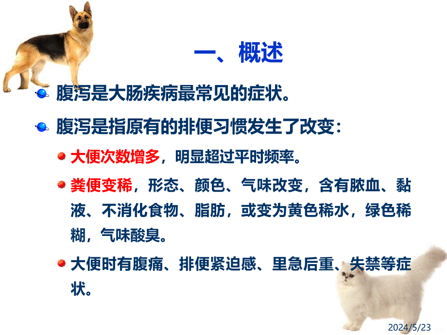 犬猫腹泻的中药治疗PPT课件.ppt_第2页