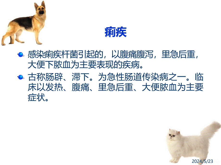 犬猫腹泻的中药治疗PPT课件.ppt_第3页