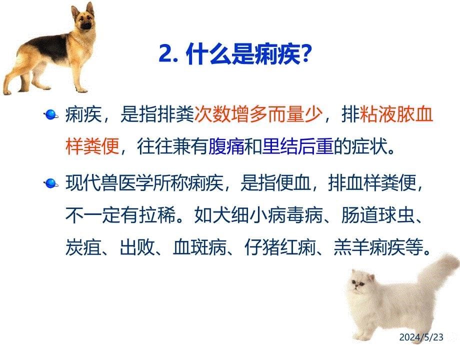 犬猫腹泻的中药治疗PPT课件.ppt_第5页
