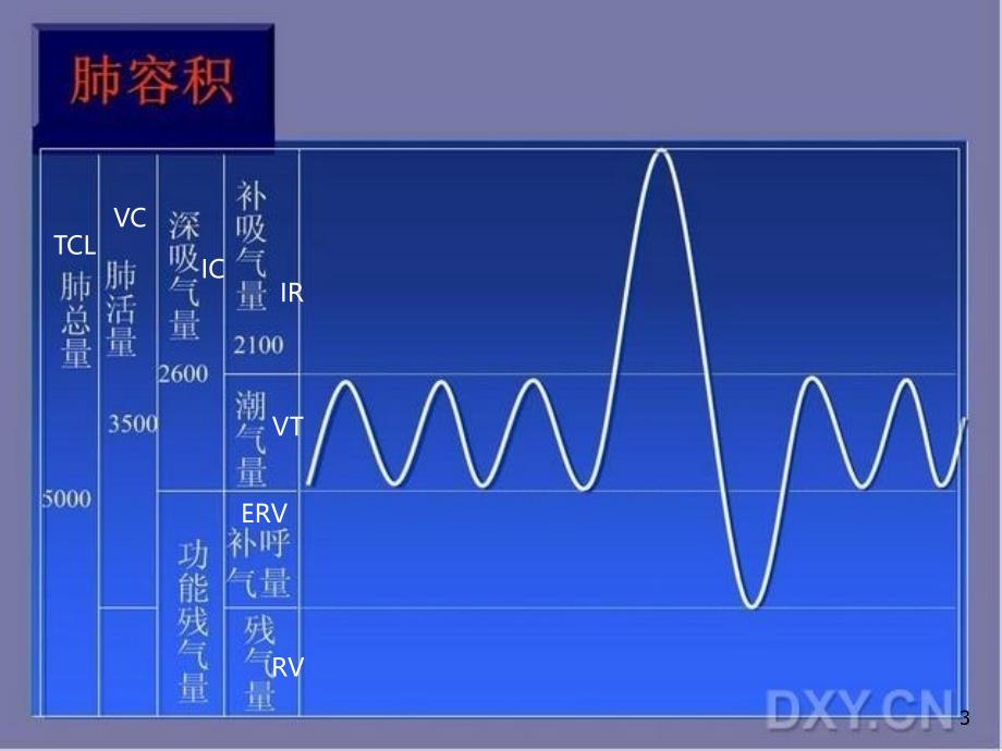 肺功能基础知识PPT课件.ppt_第3页