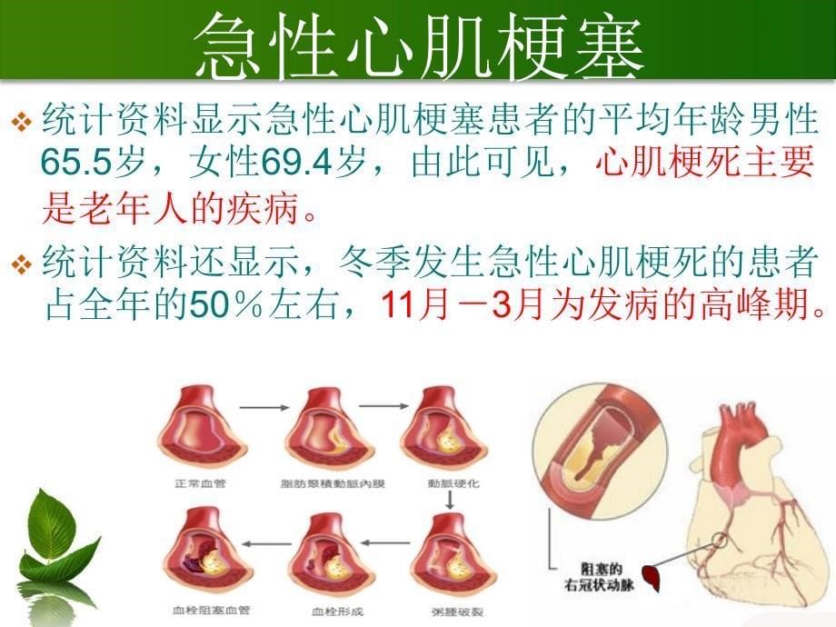 老年人冬季常见病防治_第5页