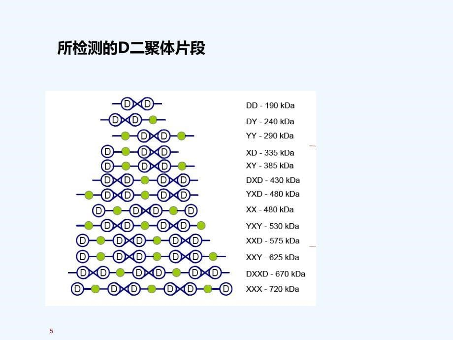 D-二聚体检测与运用_第5页