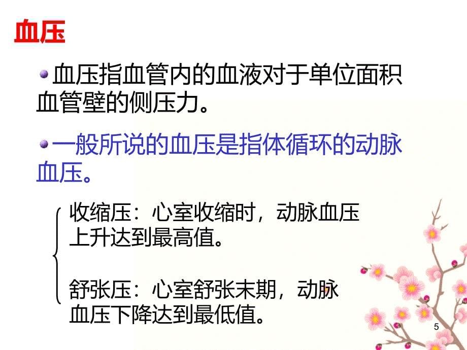 血压的观察与护理PPT课件.ppt_第5页