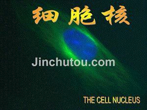 细胞生物学第九章 细胞核