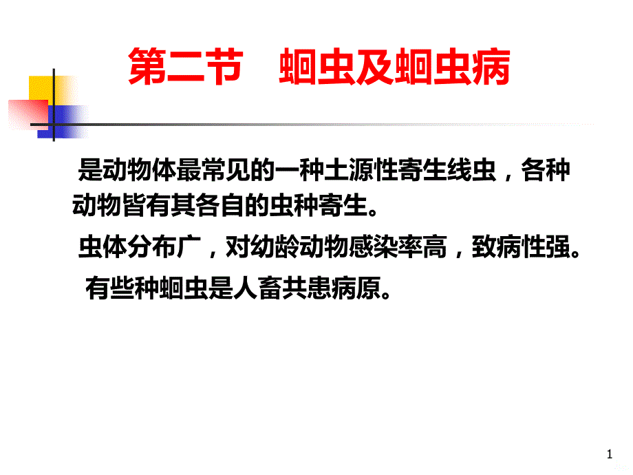 第二节 蛔虫及蛔虫病PPT课件.ppt_第1页