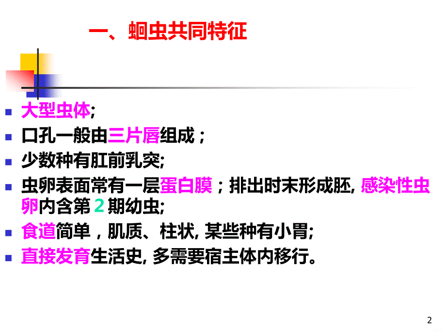 第二节 蛔虫及蛔虫病PPT课件.ppt_第2页