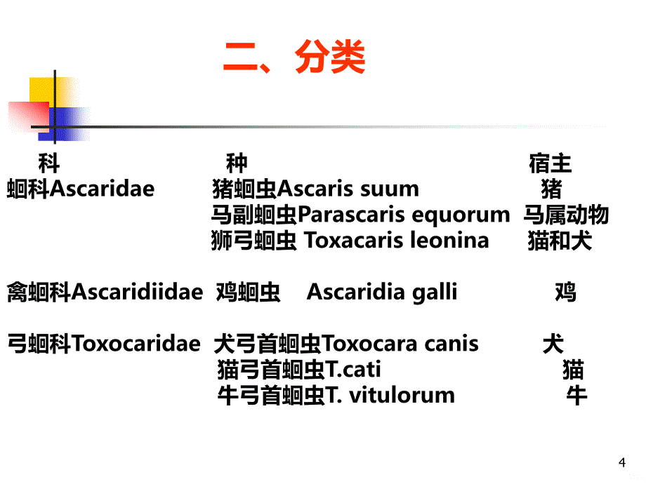 第二节 蛔虫及蛔虫病PPT课件.ppt_第4页