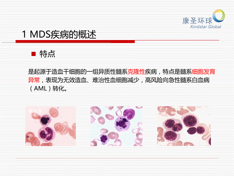 克隆性分析的临床应用 - 副本PPT课件.ppt_第3页