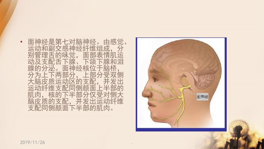 面肌痉挛患者的围手术期护理PPT课件.ppt_第3页