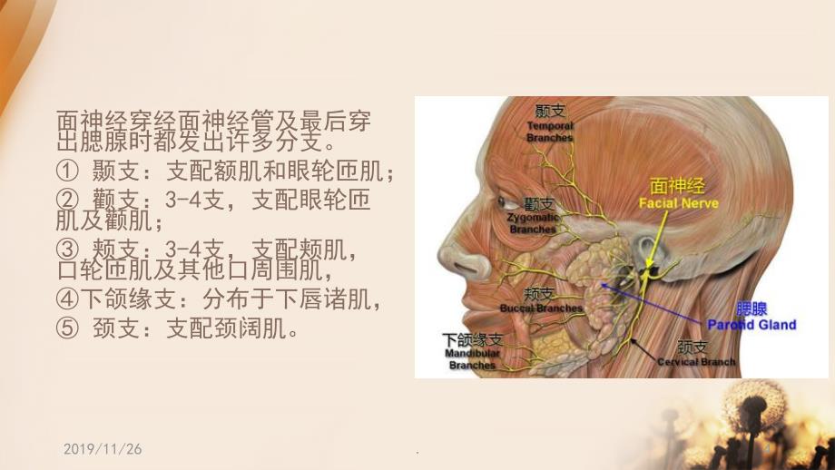 面肌痉挛患者的围手术期护理PPT课件.ppt_第4页