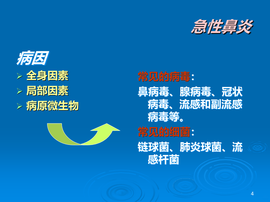 急慢性鼻炎PPT课件.ppt_第4页