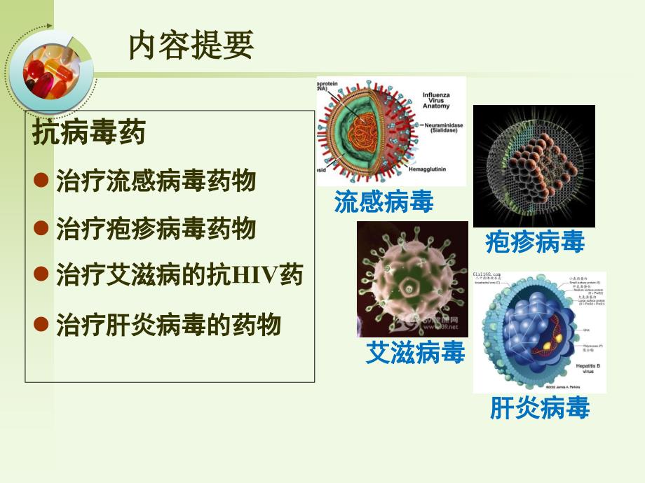 抗病毒药-药理学_第2页