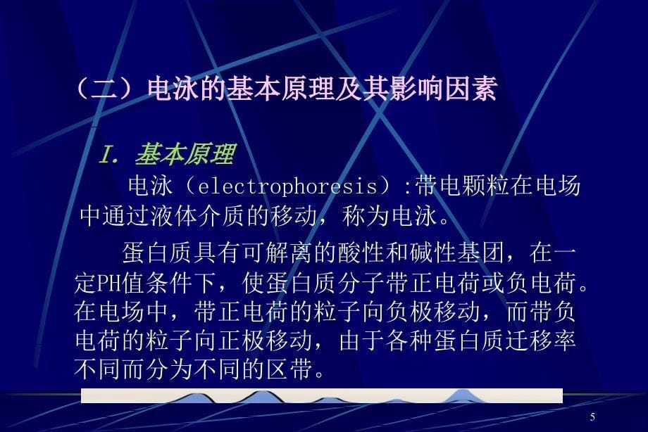 免疫电泳技术PPT课件.ppt_第5页