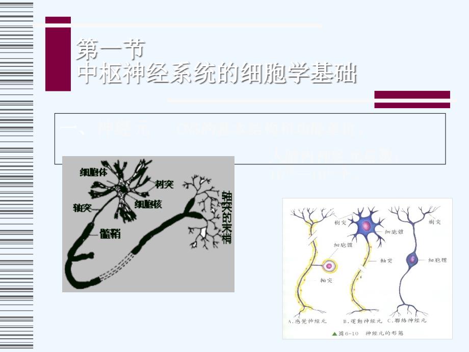 2中枢神经系统医药理学_第2页